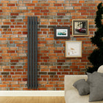 Oval Panel Anthracite Vertical Designer Radiator - Choice Of Width & Height